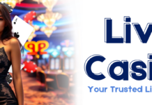 Find exciting gaming opportunities by playing online casino games without making a deposit.